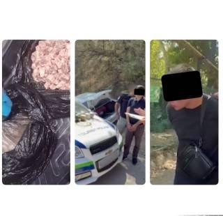 Уч ҳудудда ушланган наркосавдогарлардан жами 12,7 кг гиёҳвандлик воситалари олинди