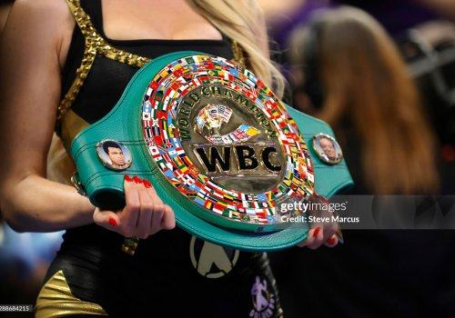 Бектемир Мелиқўзиев вазнида чемпионлик жанги бўлиб ўтди