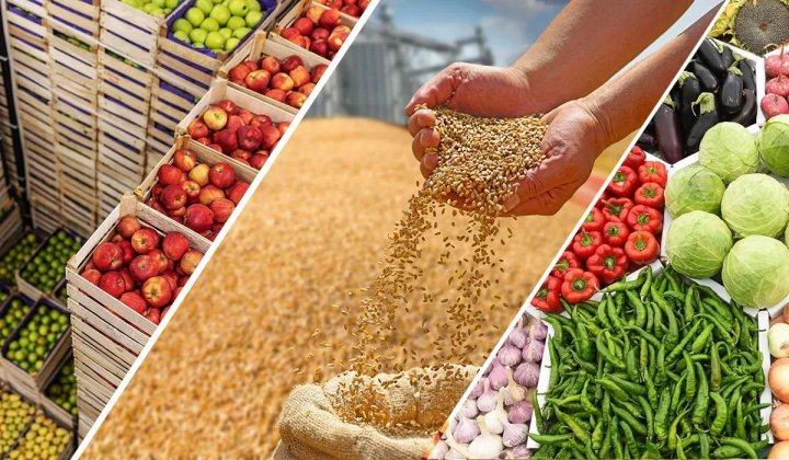 Мировые цены на еду достигли пика почти за четыре года